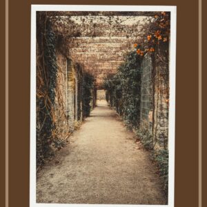 Confession of Silent Minds