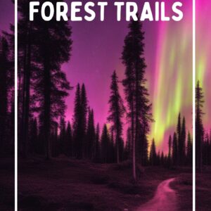 Forest Trails
