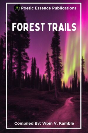 Forest Trails